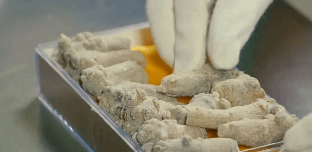 Welcome to 永利皇宫