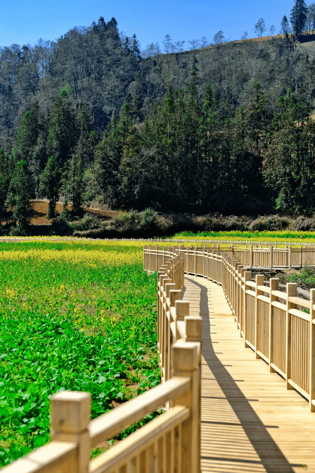 Welcome to 永利皇宫